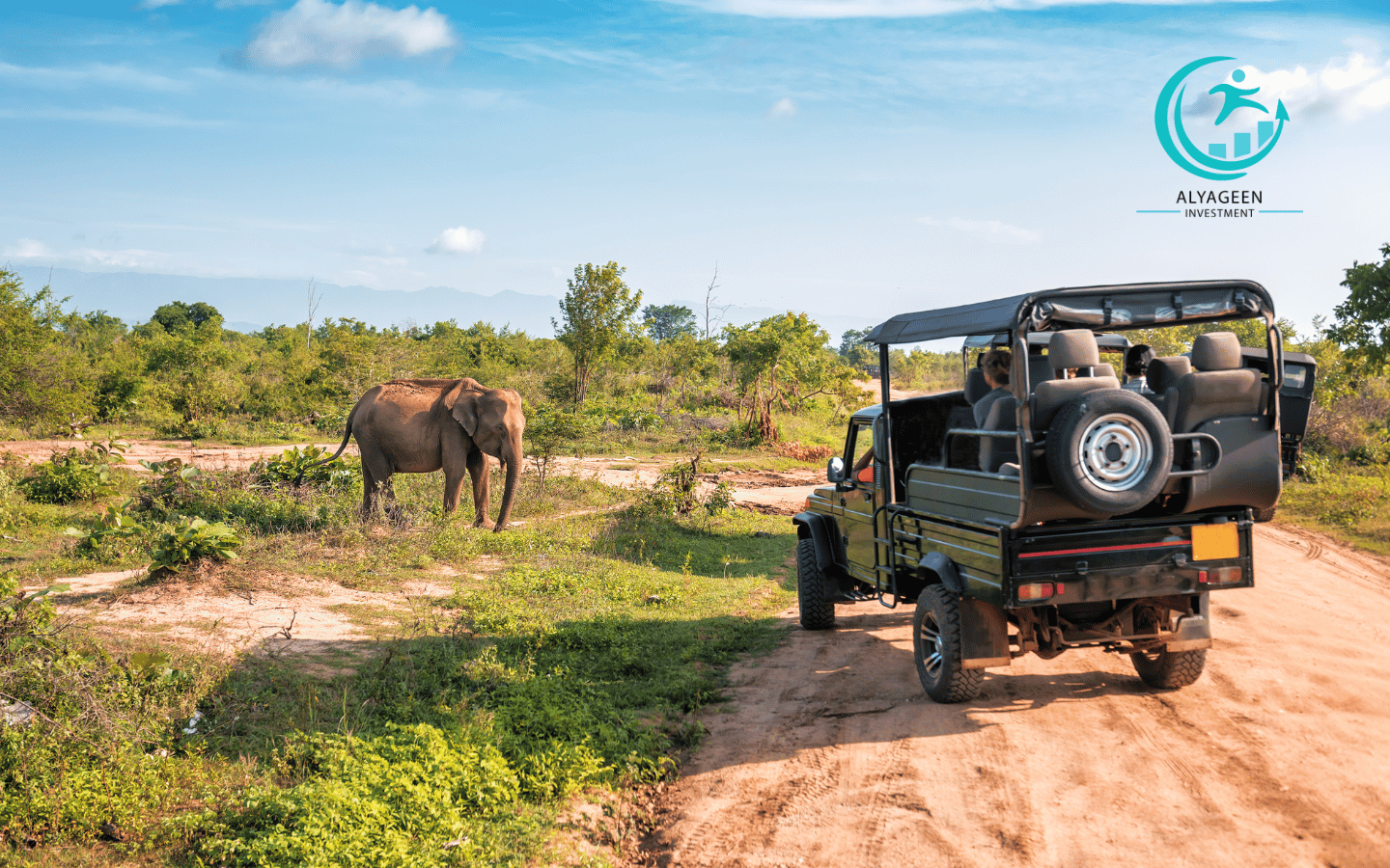 Tour & Travel Planning Services